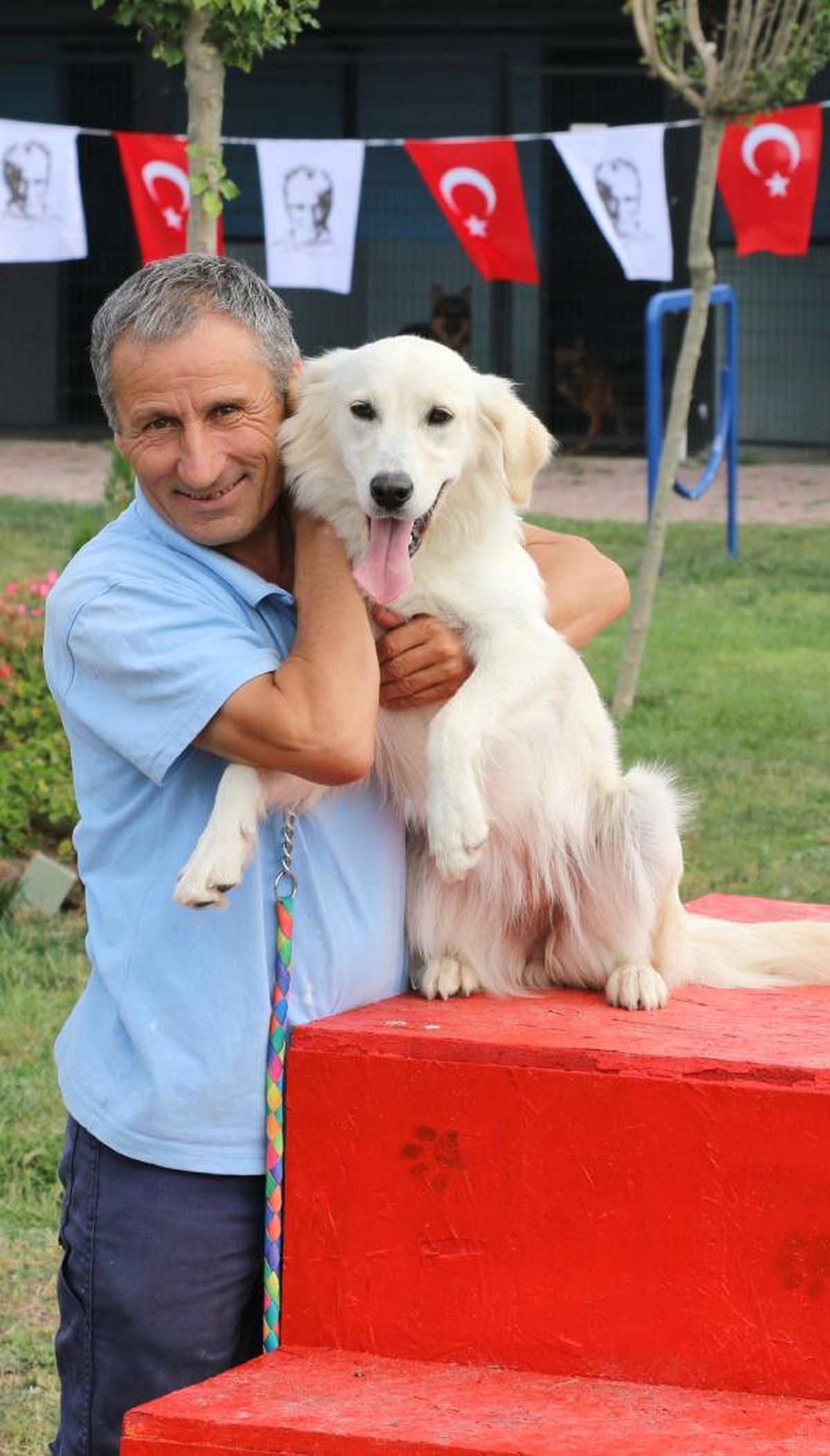 En Güzel Köpek\' Yarışması