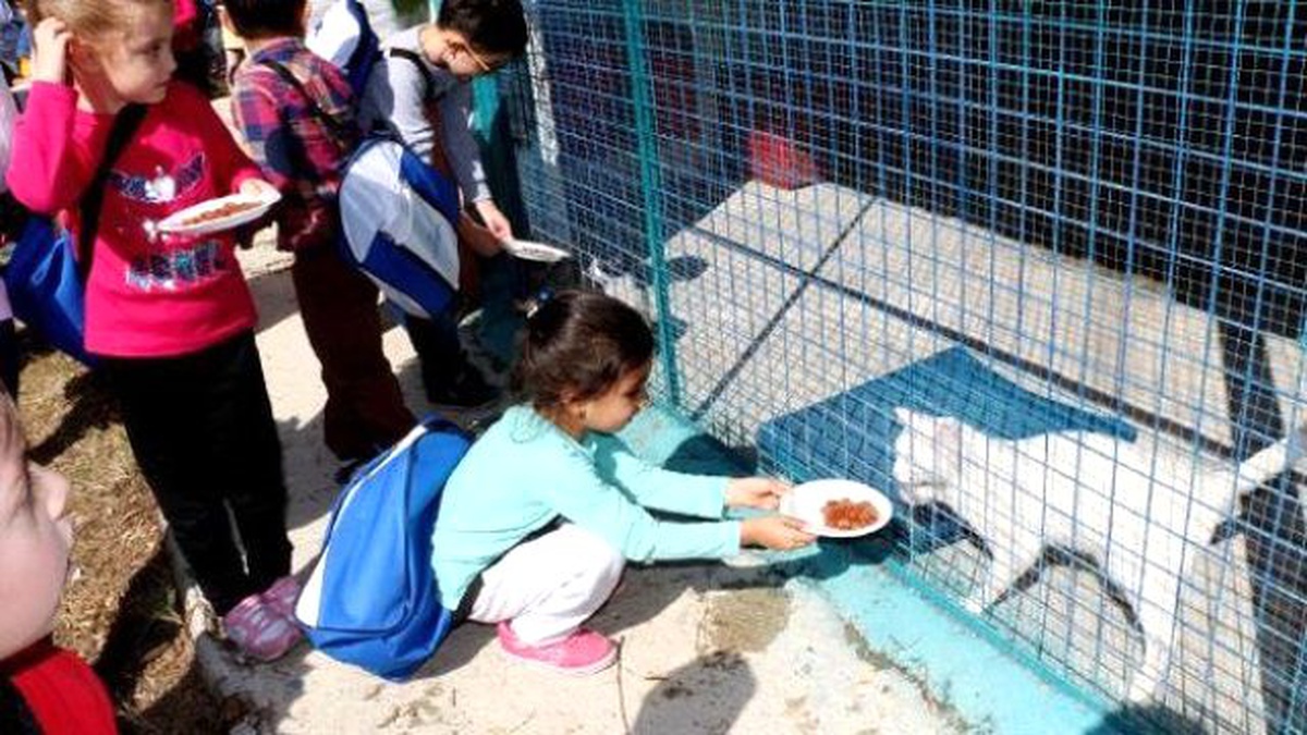 Görüntülü Haber) Anaokulu Öğrencileri Hayvanları Besledi