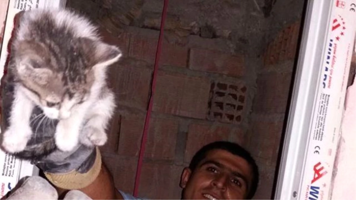 Havalandırma Borusuna Sıkışan Kediyi İtfaiye Kurtardı