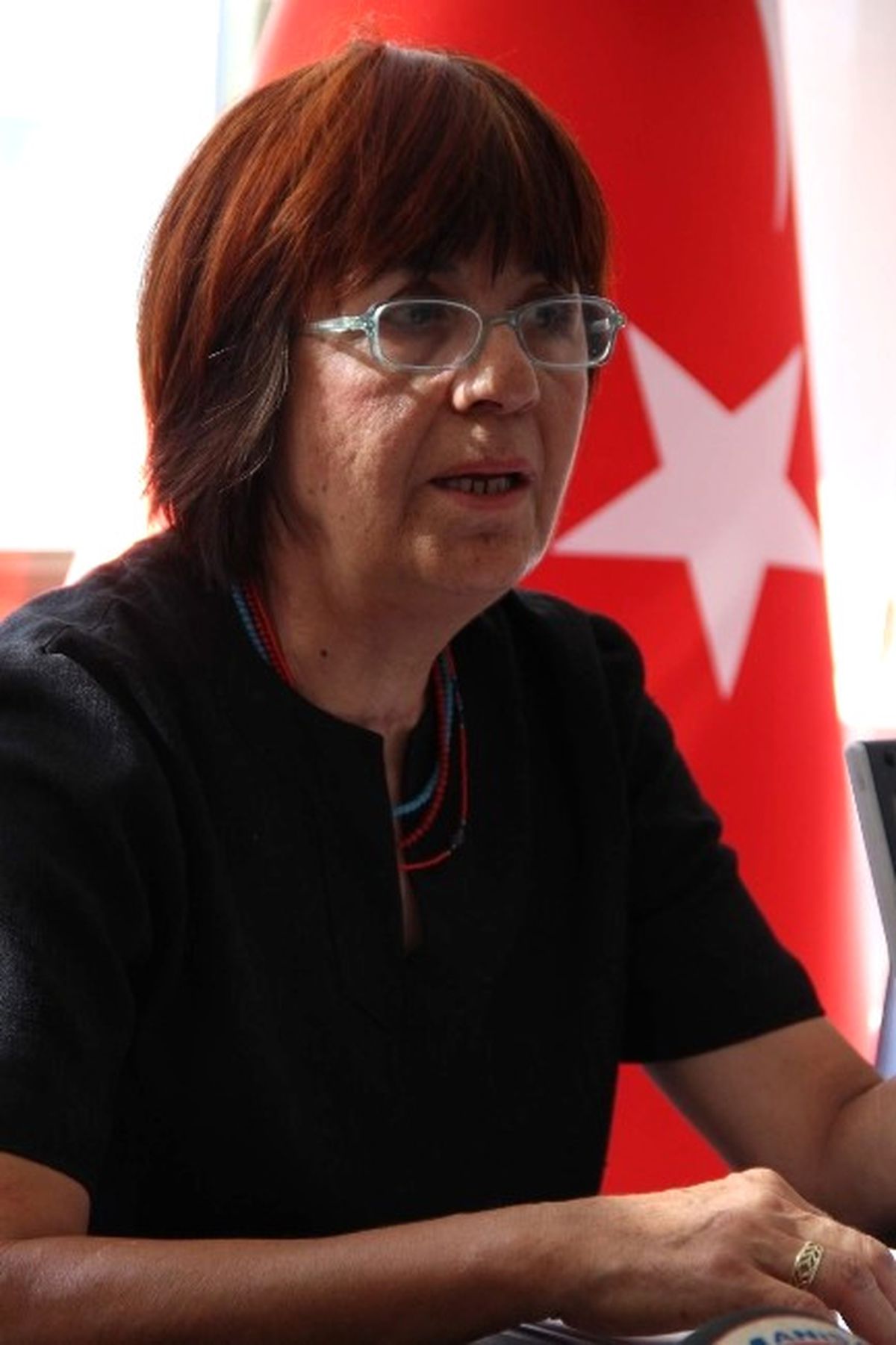 Hayvanların Tedavi Giderleri Derneği 109 Bin Lira Borca Soktu