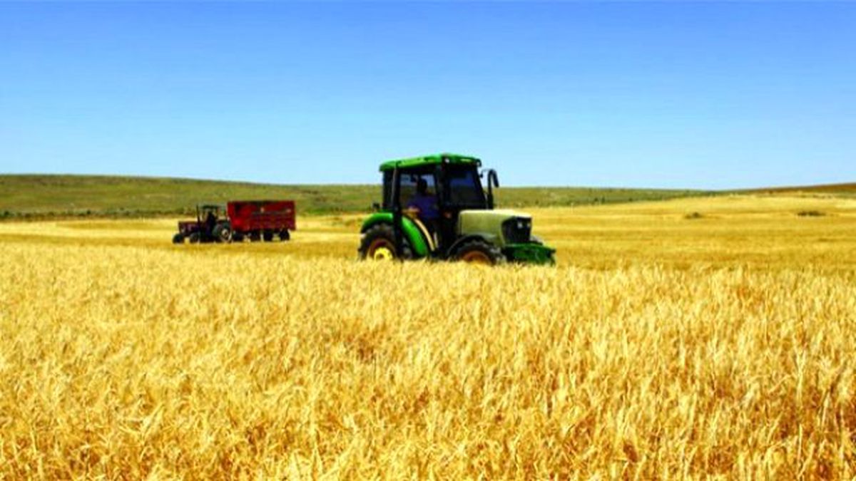 Hibe Desteği Almaya Hak Kazanan Genç Çiftçiler Belli Oldu