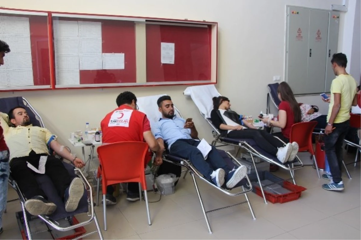 Kahta Meslek Yüksekokulu\'nda Kan Bağışına Yoğun İlgi