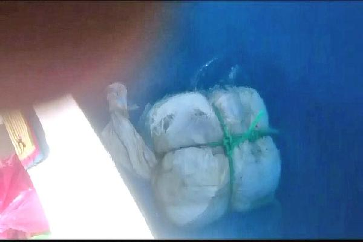 Oltaya Bu Kez Balık Değil Esrar Takıldı