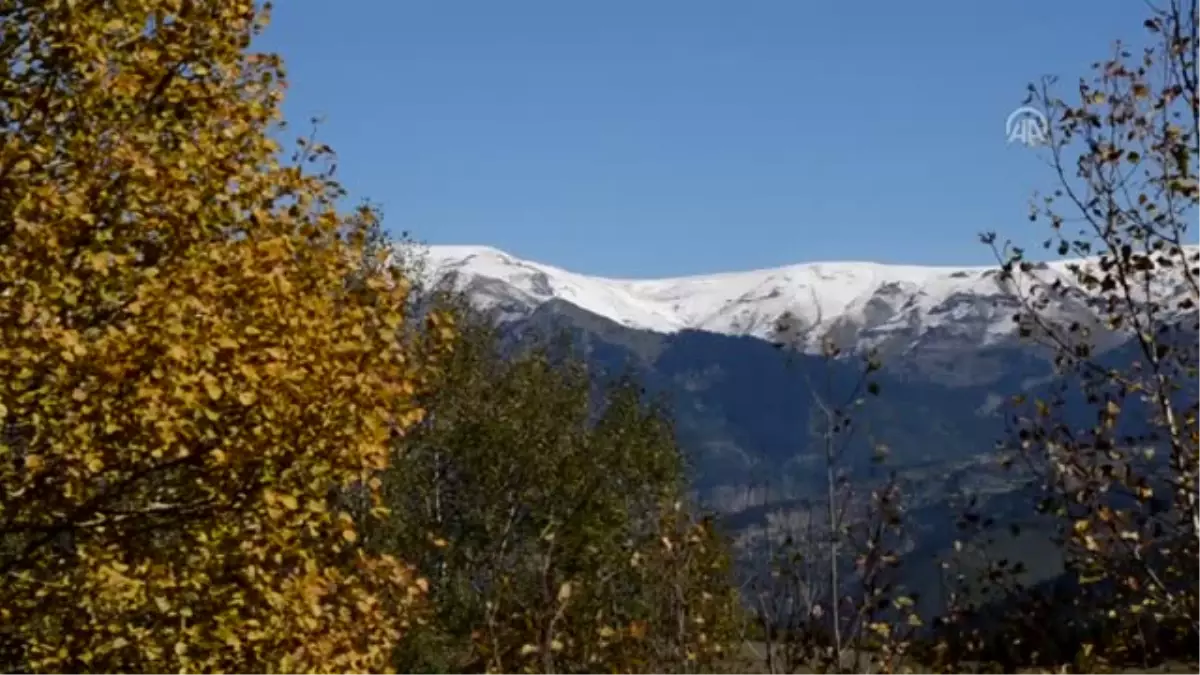 Sonbahar\'da Yayla Evleri Sessizliğe Büründü