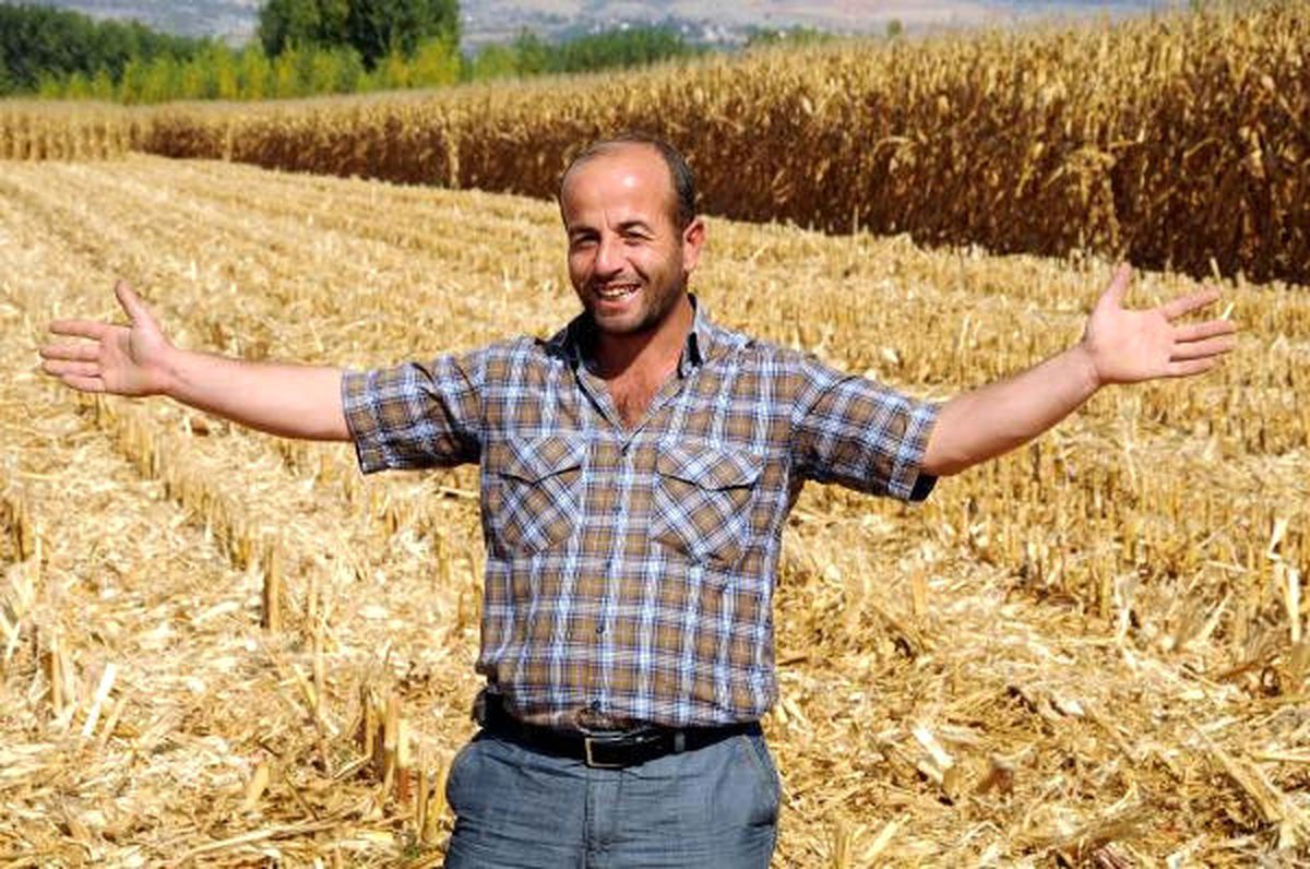 Tarladan Çaldıkları 19 Ton Mısırı Satmaya Götürürken Yakalandılar