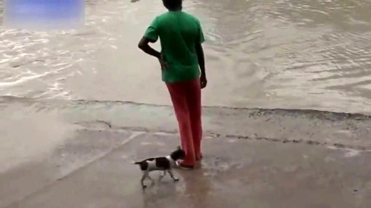 Timsahı Terlikle Kaçırdı