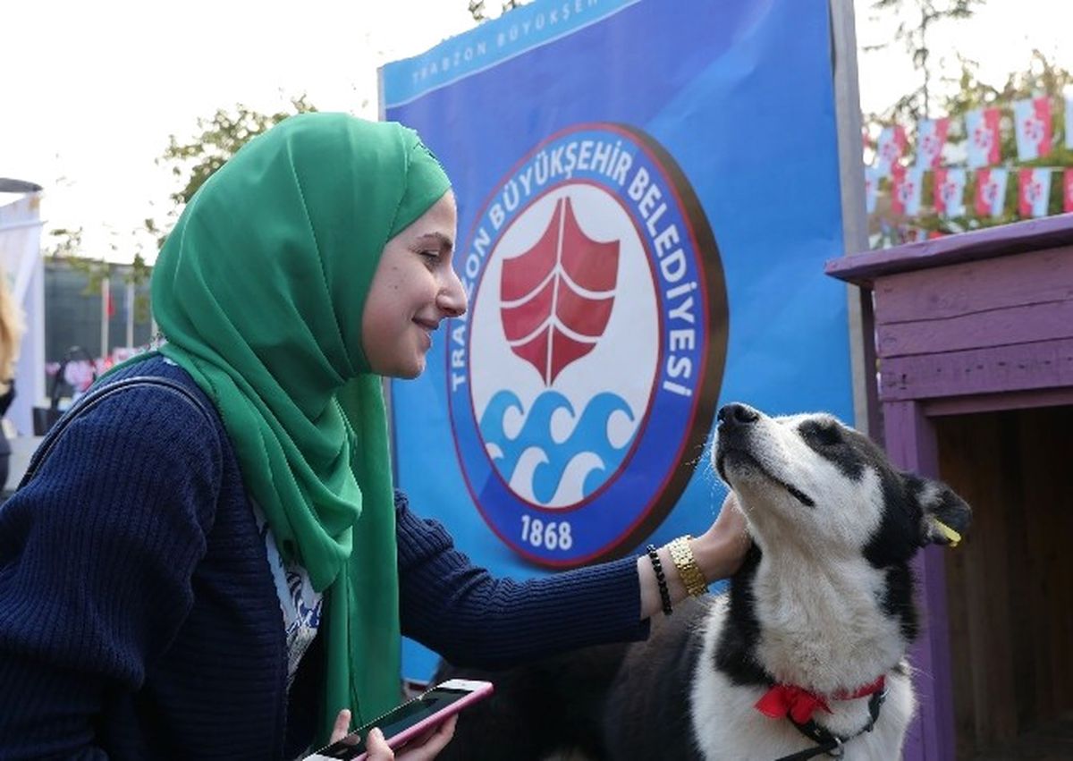 Trabzon\'da Sokak Hayvanları Unutulmadı