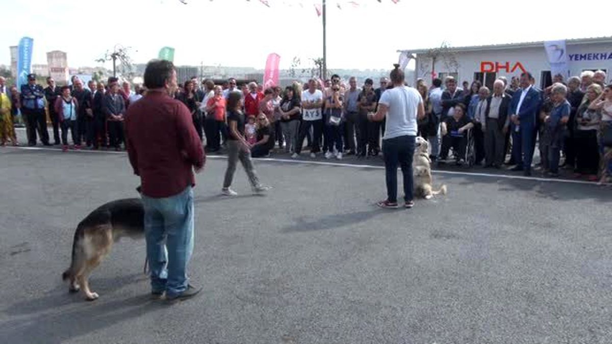 Türkıye\'nin En Kapsamlı Hayvan Bakım Evi Beylikdüzü?nde Acıldı