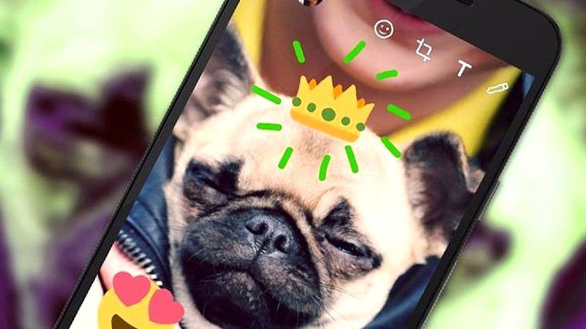 Whatsapp'tan Sürpriz Yenilik!