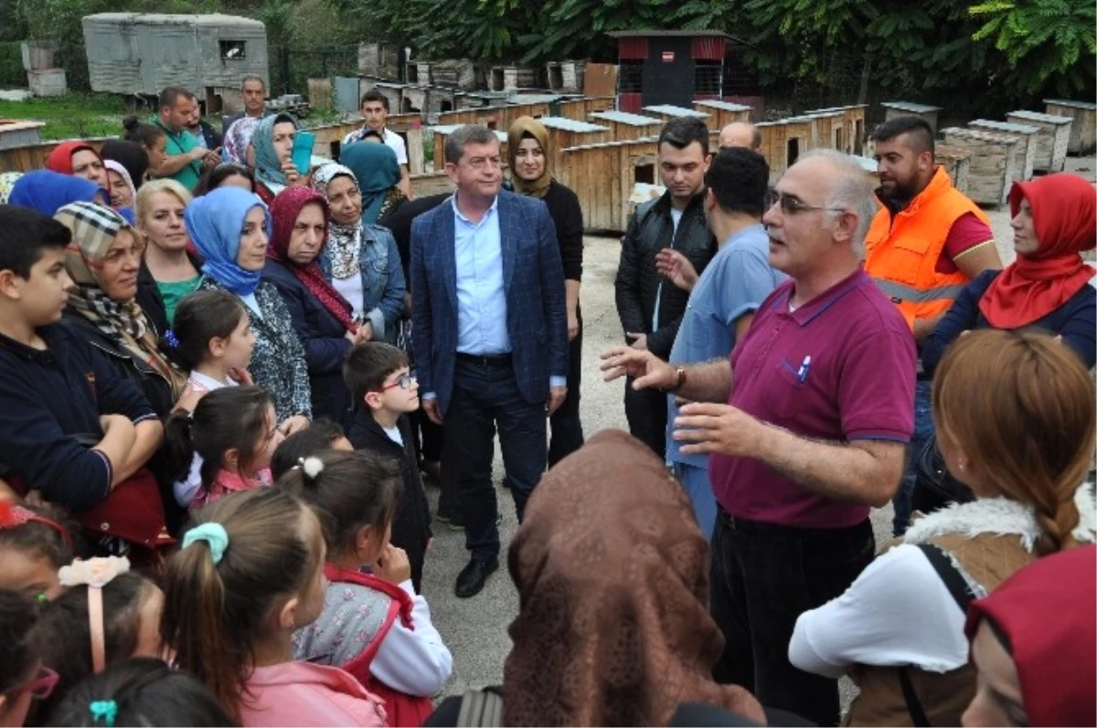 Ak Kadınlar\'dan Çocuklarıyla Birlikte Hayvan Barınağına Ziyaret