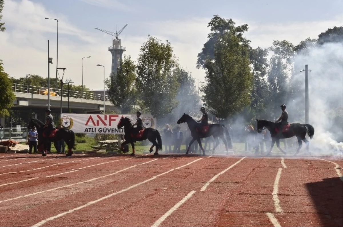 Ankara\'da "Hayvanları Koruma Günü" Etkinliği Düzenlendi