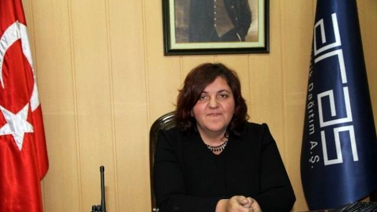 Aras Edaş İl Müdürü Akpınar, "2016 Yatırım Yılı Oldu"