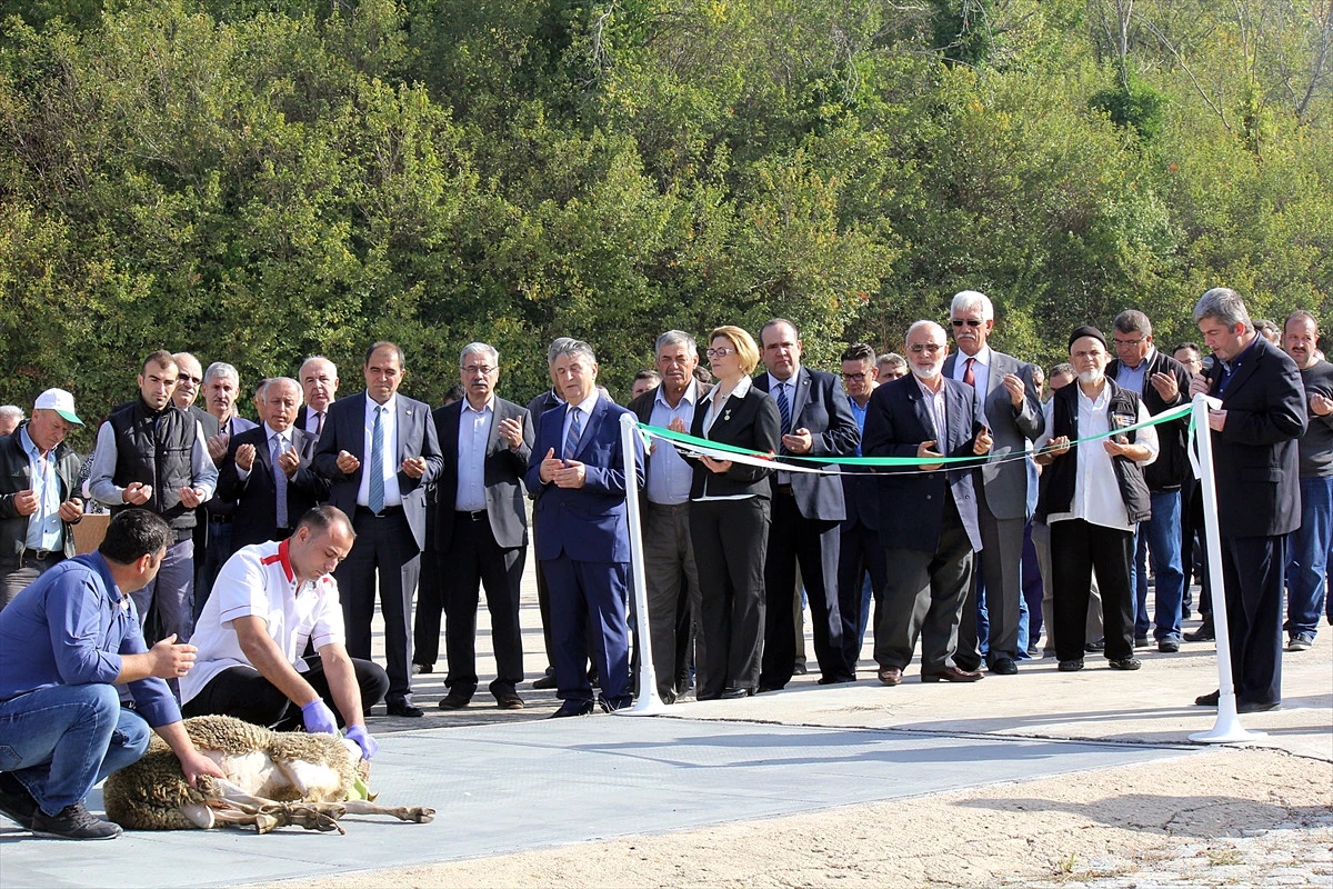 Babaeski\'de Pancar Alım Kampanyası Başladı