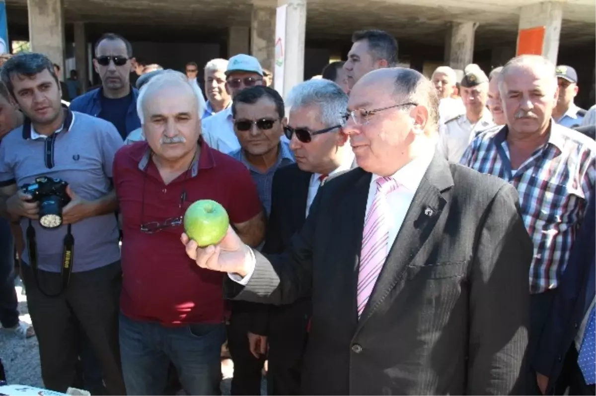 Bağ Bozumu Şenliği Yapıldı