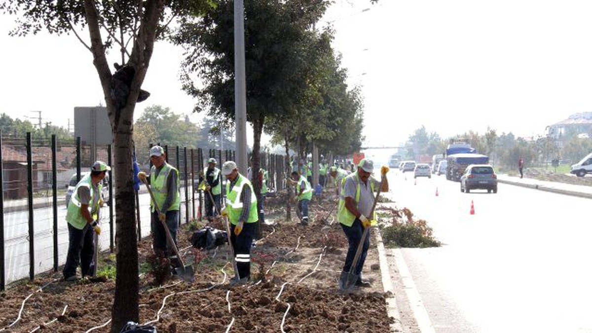 Büyükşehir\'den Çevre Yolunda Orta Refüj Peyzaj Çalışması