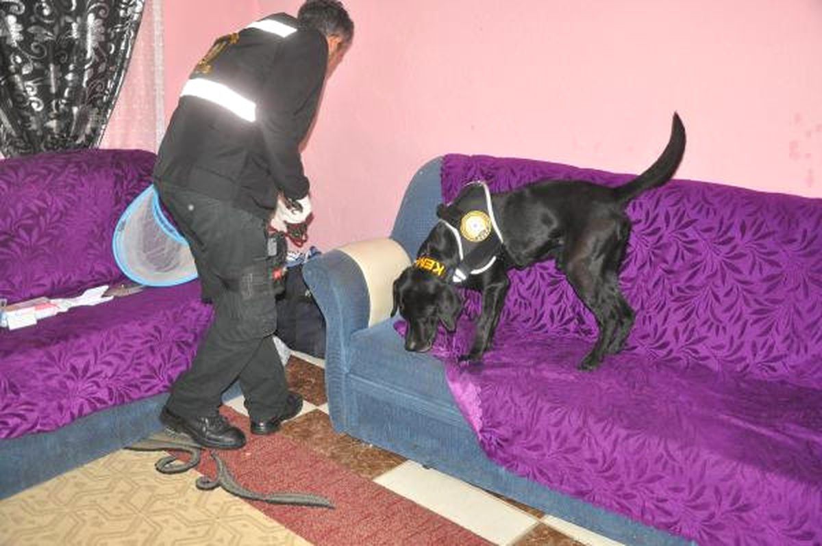 Çerkezköy\'deki Uyuşturucu Operasyonunda 7 Kişi Gözaltına Alındı