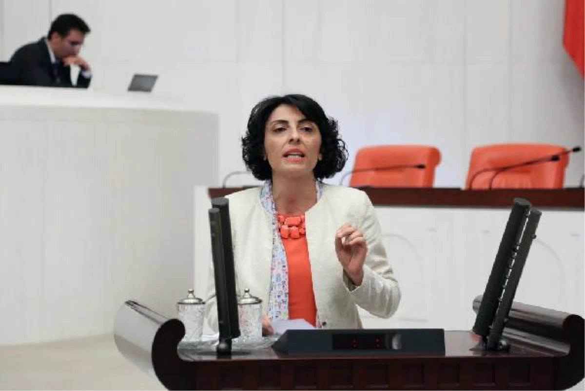 CHP\'li Kayışoğlu, Bursa İpekiş\'teki Yıkımı Meclis\'e Taşıdı