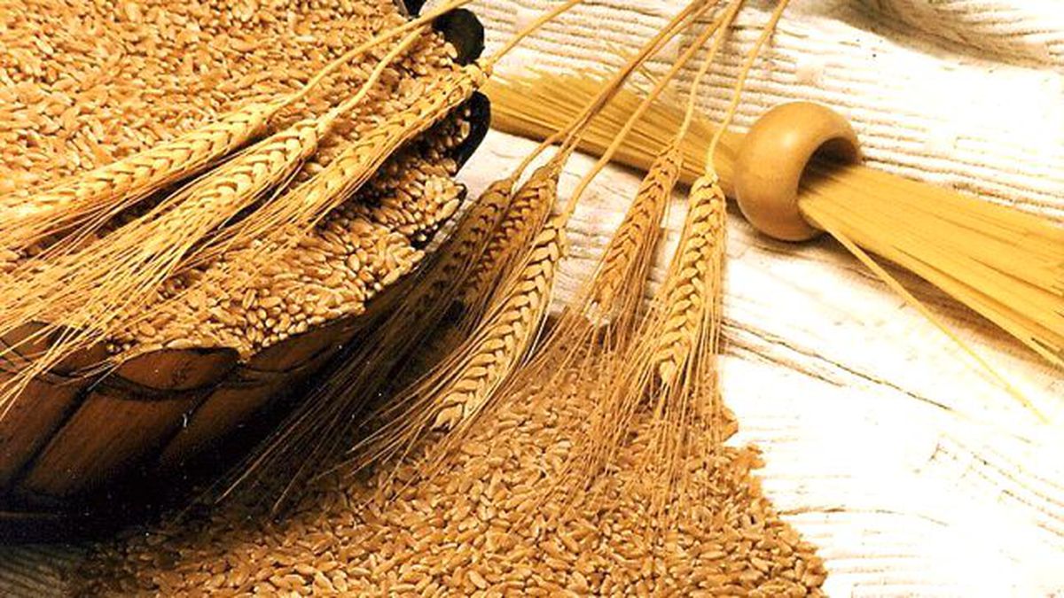 Edirne Ticaret Borsası