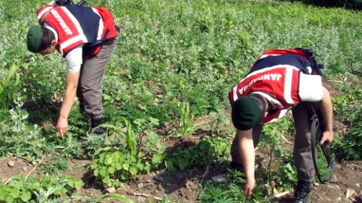 Gölhisar\'da Uyuşturucu Operasyonu
