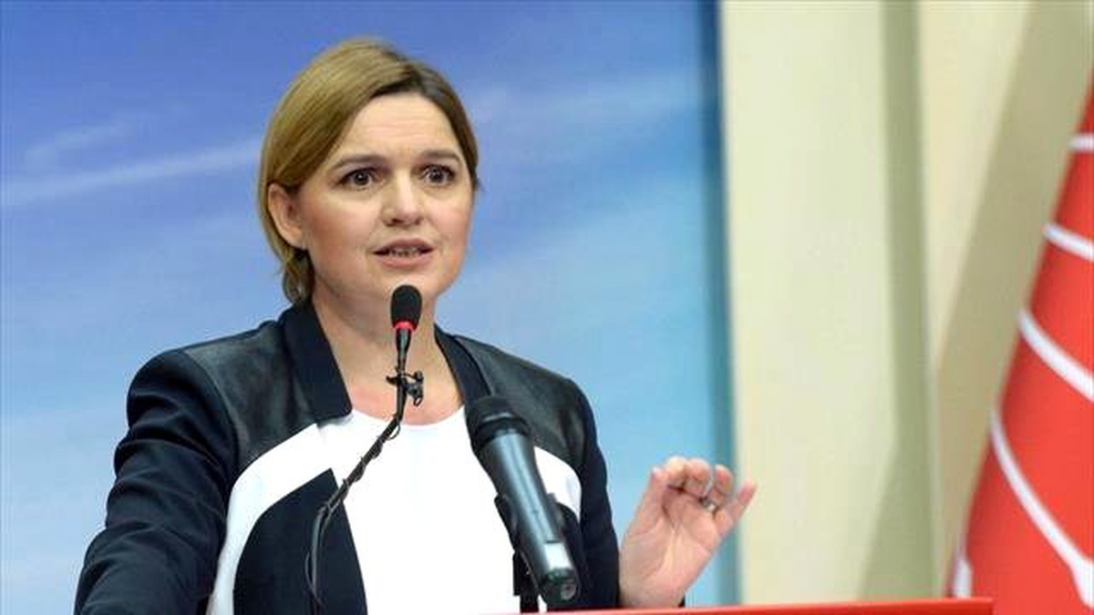 Görüntülü Haber) Selin Sayek Böke : Türkiye\'nin Terörle ve Darbecilerle Mücadele Etmek İçin Ohal\'e...