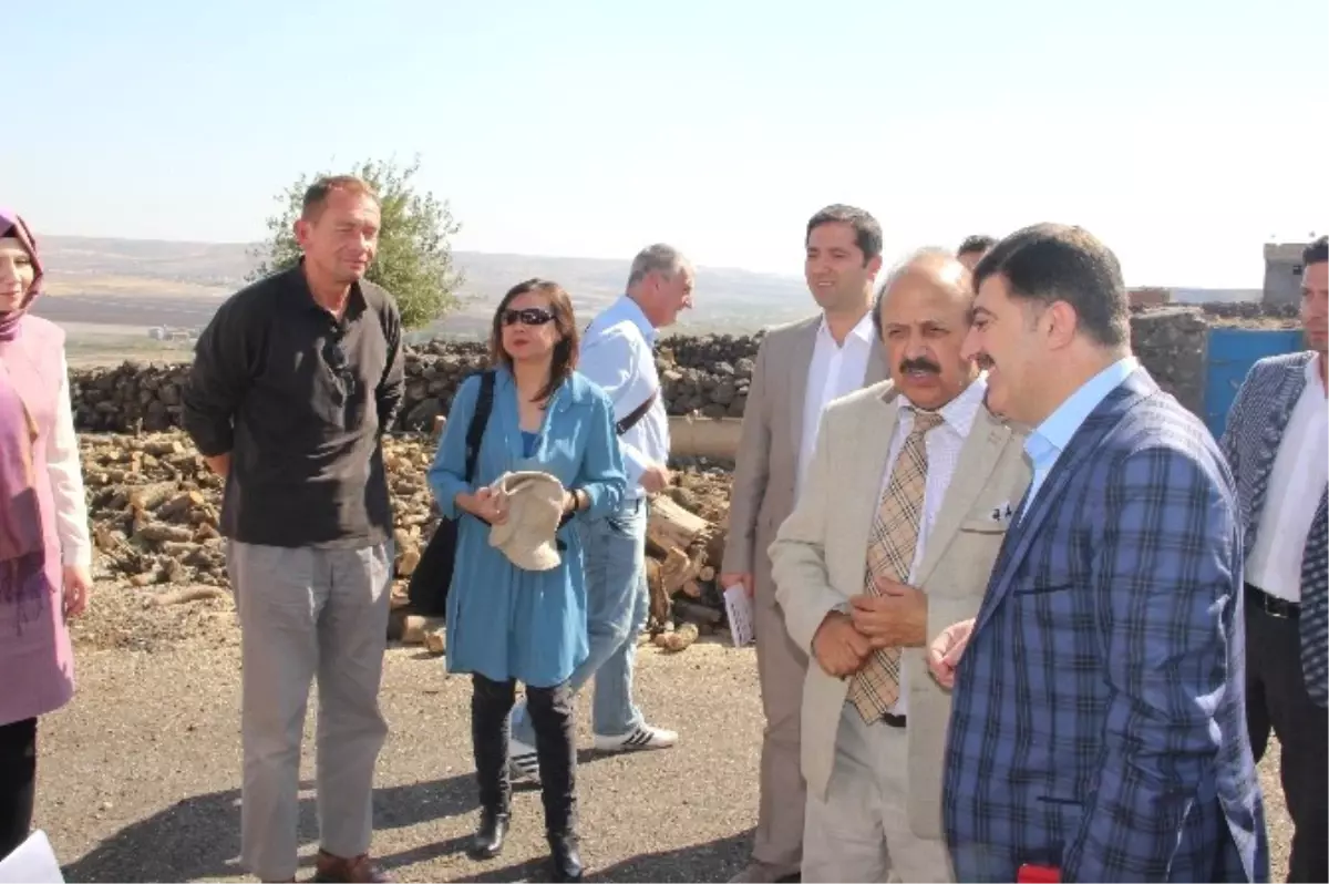 İngiliz Parlamenterler Diyarbakır\'da