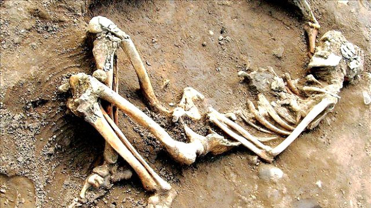 İran\'da M.ö. 7500 Yılına Ait İnsan İskeleti