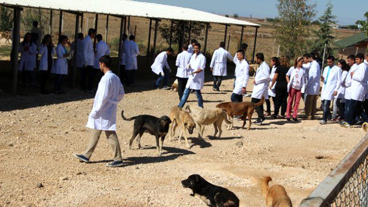 İTÜ\'nün En Önemli Eksikliğini İlkokul Öğrencileri Giderdi