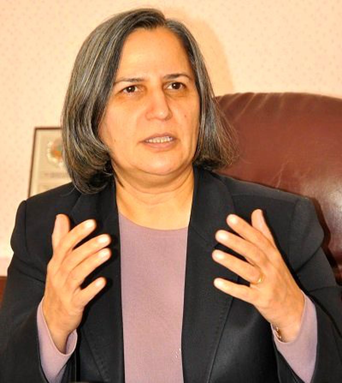 Kışanak Hakkında Soruşturma