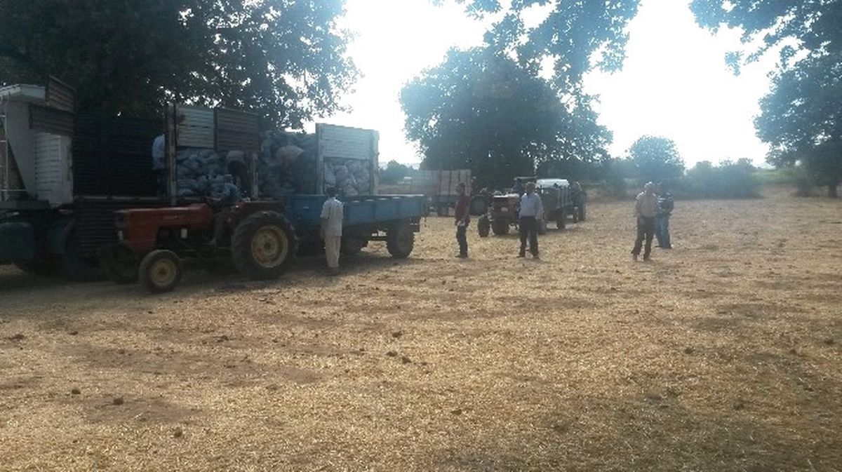 Kula\'da 2 Bin 200 Aileye Kömür Yardımı