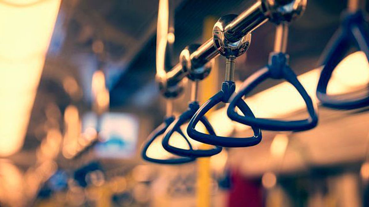 Moskova Metrosunda 9 Köpek Dünyaya Geldi