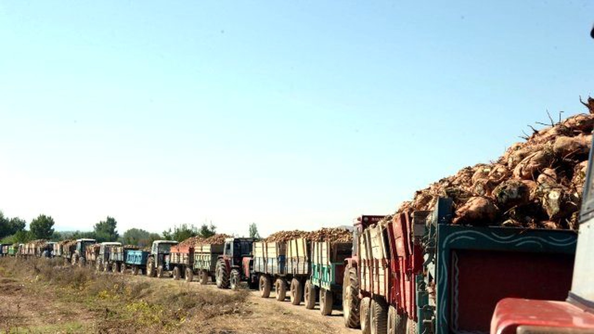 Pancar Teslimi İçin 3 Kilometrelik Traktör Kuyruğu