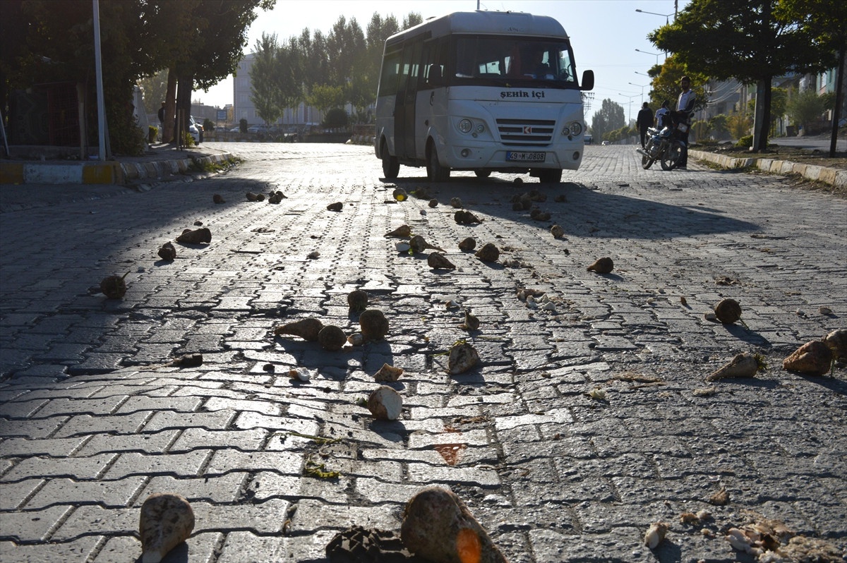 Traktörden Dökülen Şeker Pancarı Yola Saçıldı