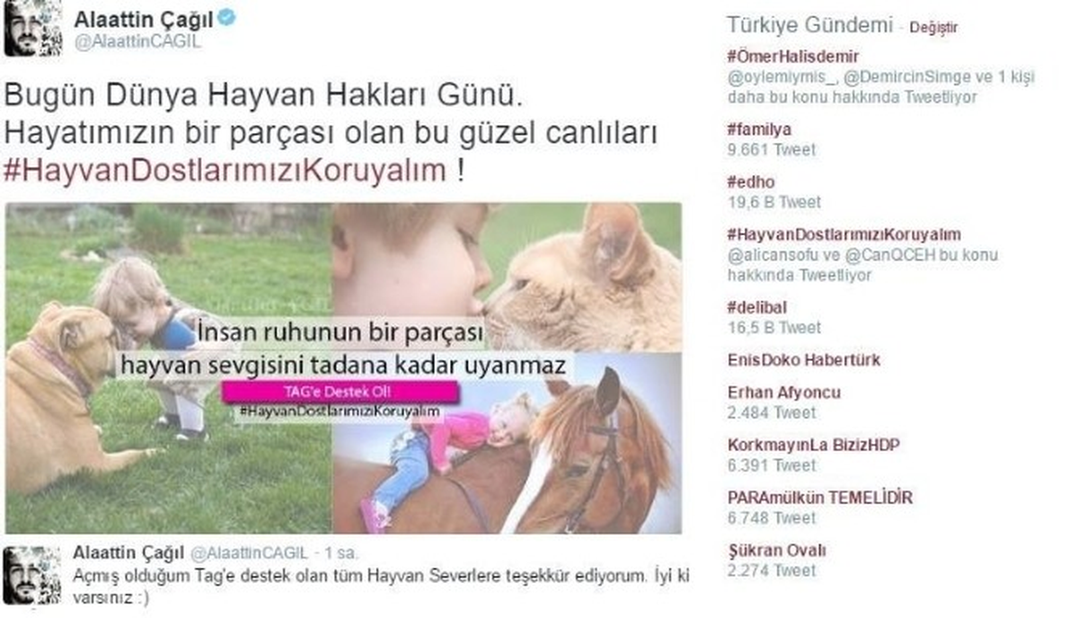 Twitter Fenomeni Hayvanlara Sahip Çıktı