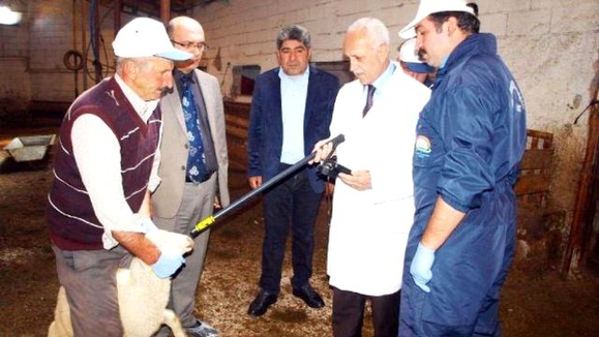 Van\'da Elektronik Küpe Uygulamasına Başlandı