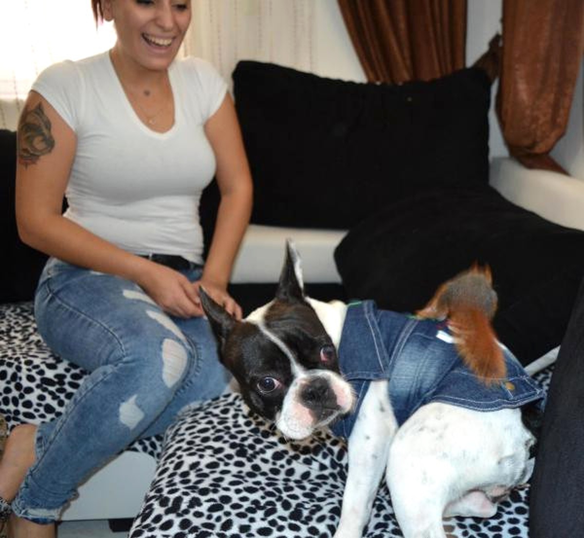 Yavru Sincap ile Köpeğin Örnek Dostluğu