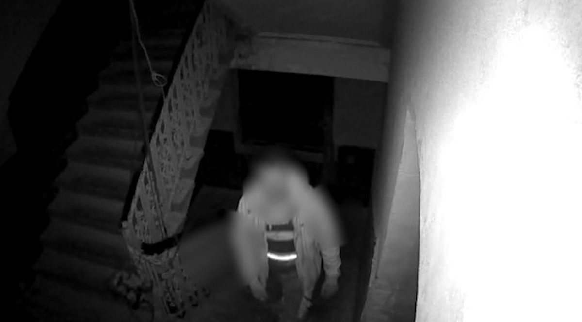 Almanya'nın En Akılsız Hırsızları