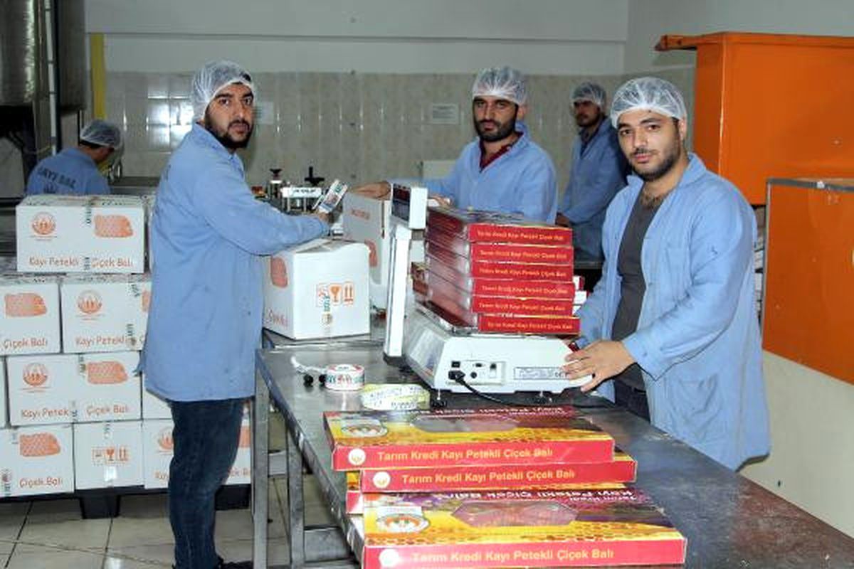 Başbakan Yıldırım\'ın Memleketinde 200 Ton Bal Üretimi