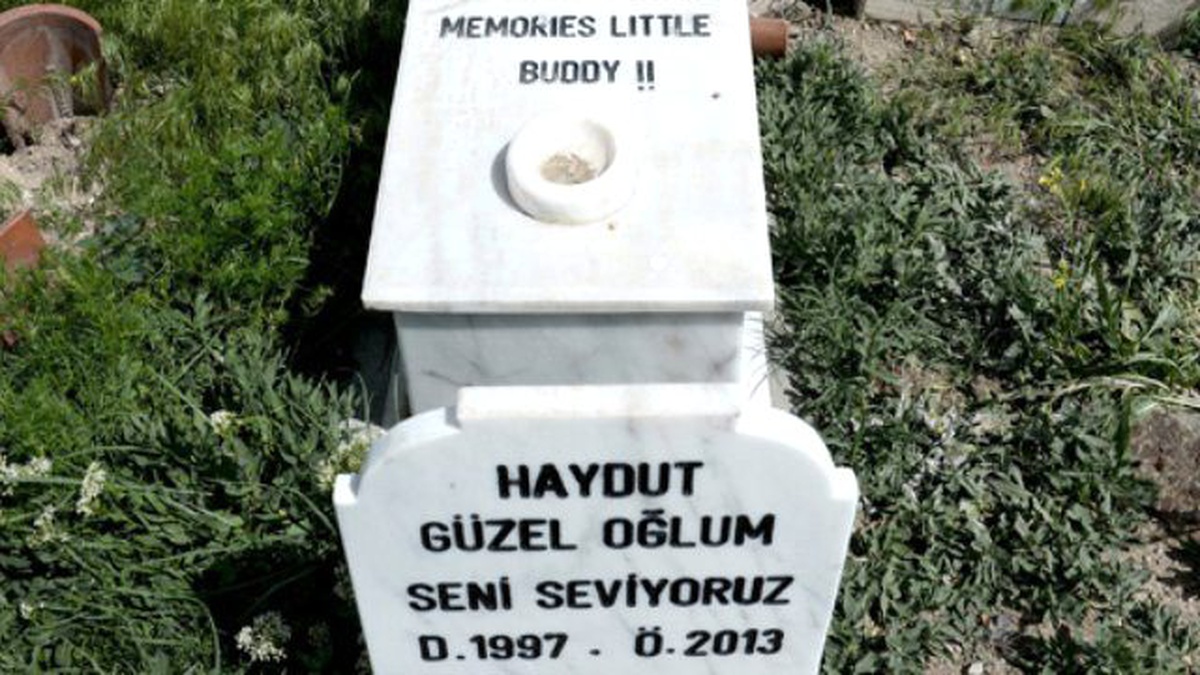 Ergene\'de Sokak Hayvanları İçin "Hayvan Mezarlığı"