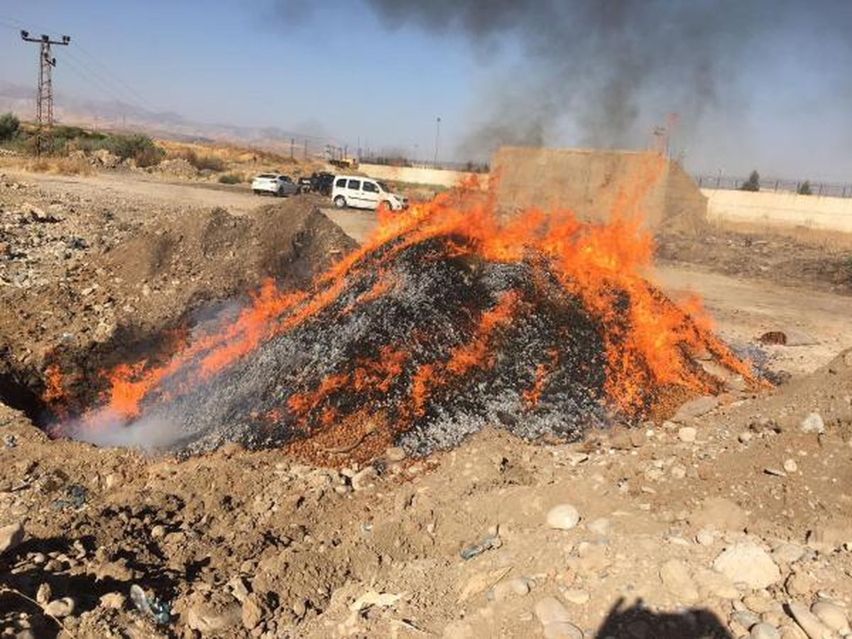 İhraç Edilmeye Çalışılan 43.5 Ton Bozuk Ceviz İmha Edildi