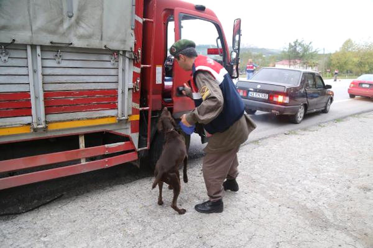 Jandarmanın Yol Denetiminde 18 Araç Trafikten Men Edildi