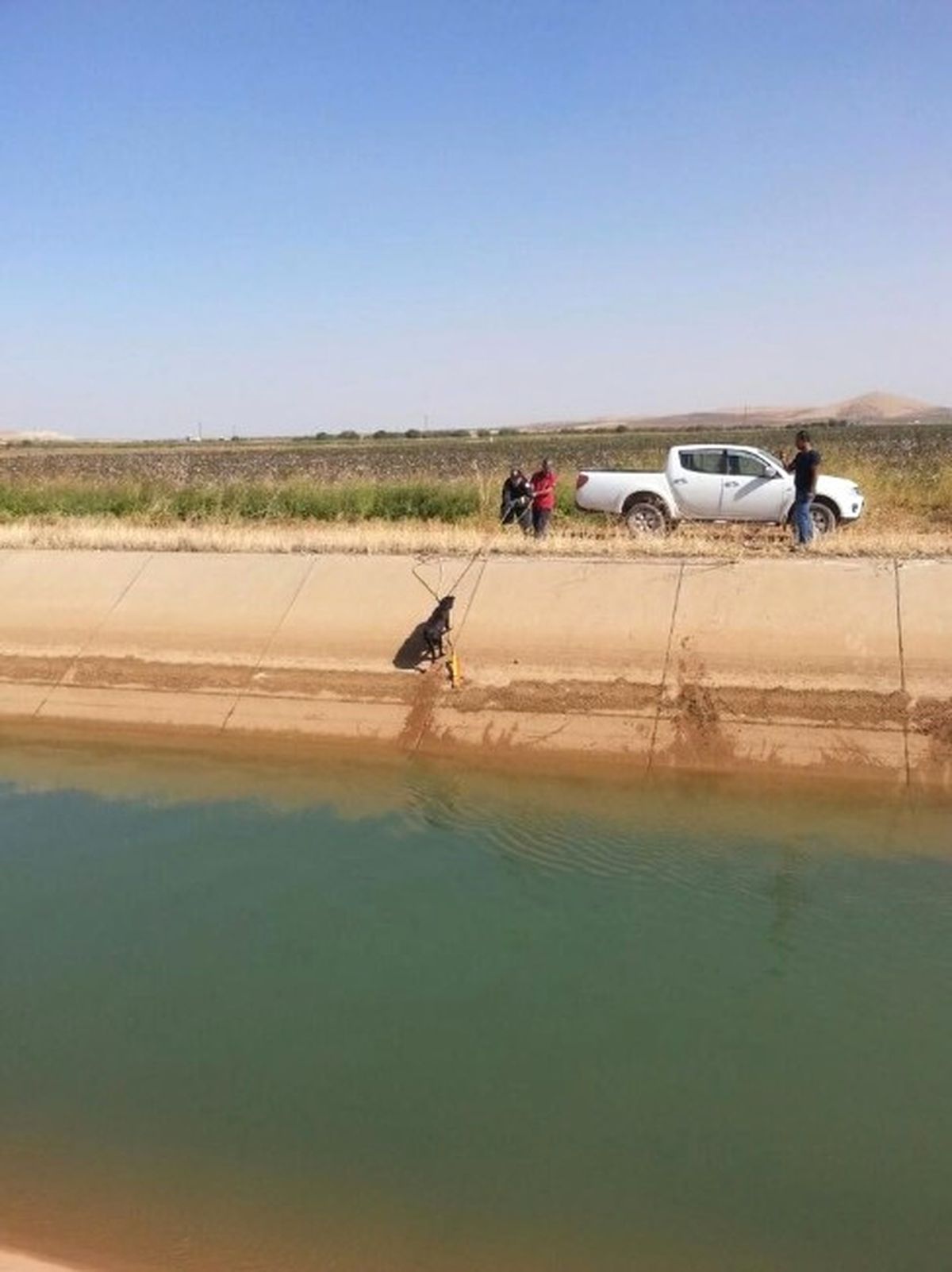 Kanala Düşen Köpek İtfaiye Ekiplerince Kurtarıldı