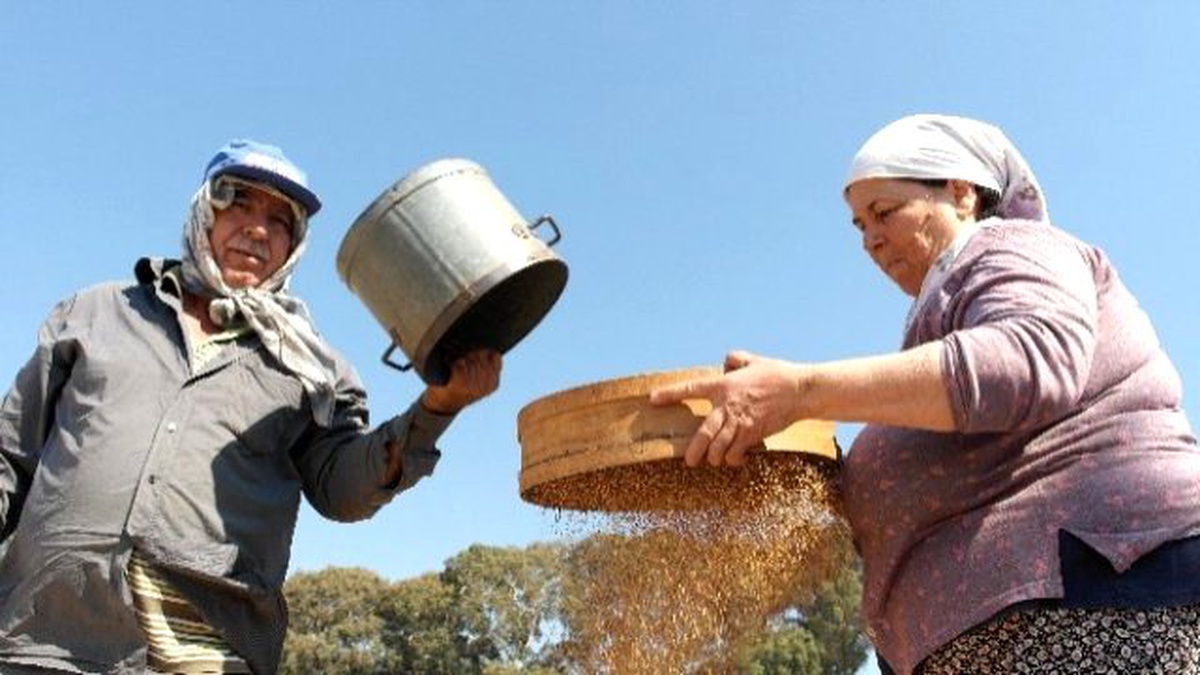 Muğla\'da Üretiliyor, Japonlar Kapış Kapış Alıyor