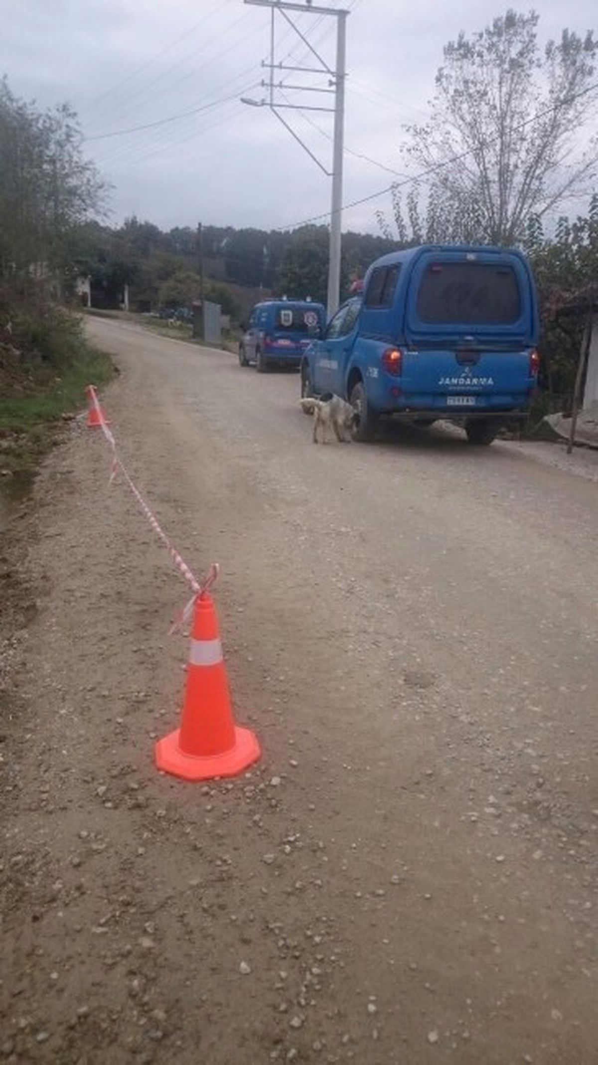 Sakarya\'da 600 Kilo Fındık Çalındı