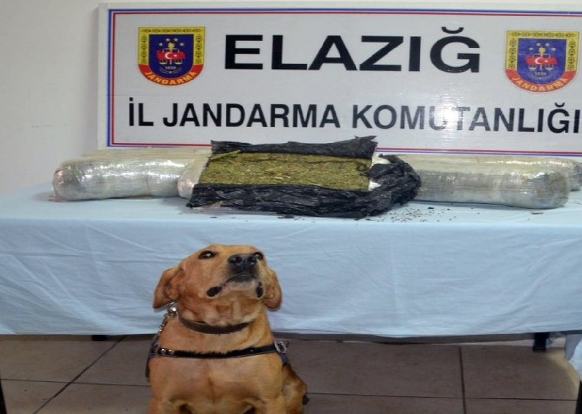 Trende 24 Kilogram Esrar Ele Geçirildi