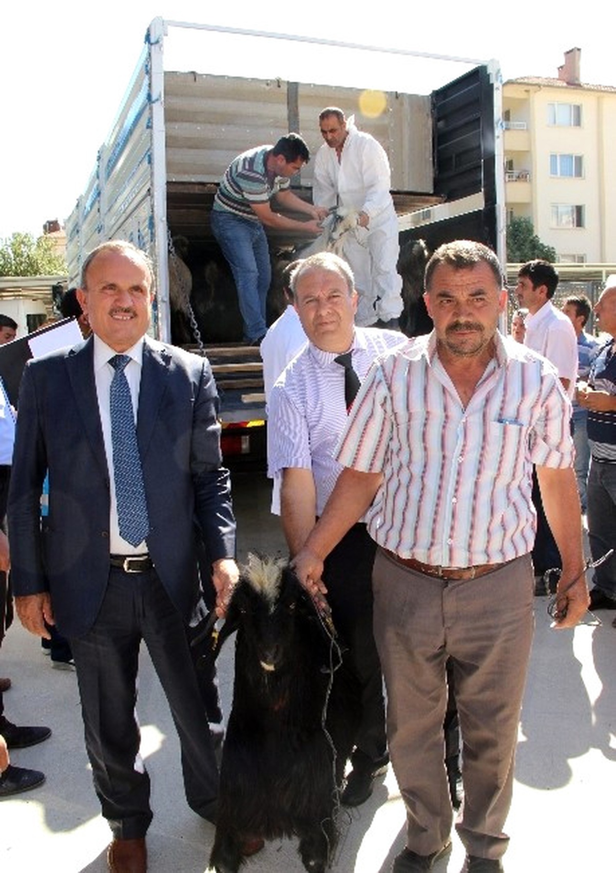 126 Damızlık Kıl Keçisi Oğlağı Dağıtıldı