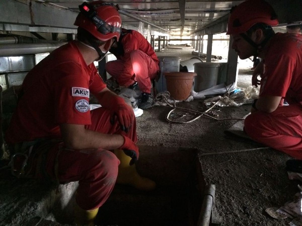 Akut Ekipleri, Yavru Kedi İçin Seferber Oldu