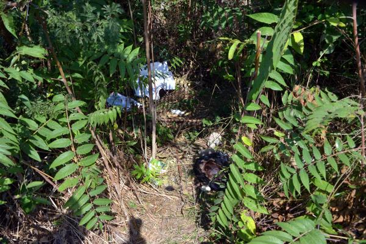 Bebek Cesedi Olduğu Sanılan Poşetten Köpek Leşi Çıktı