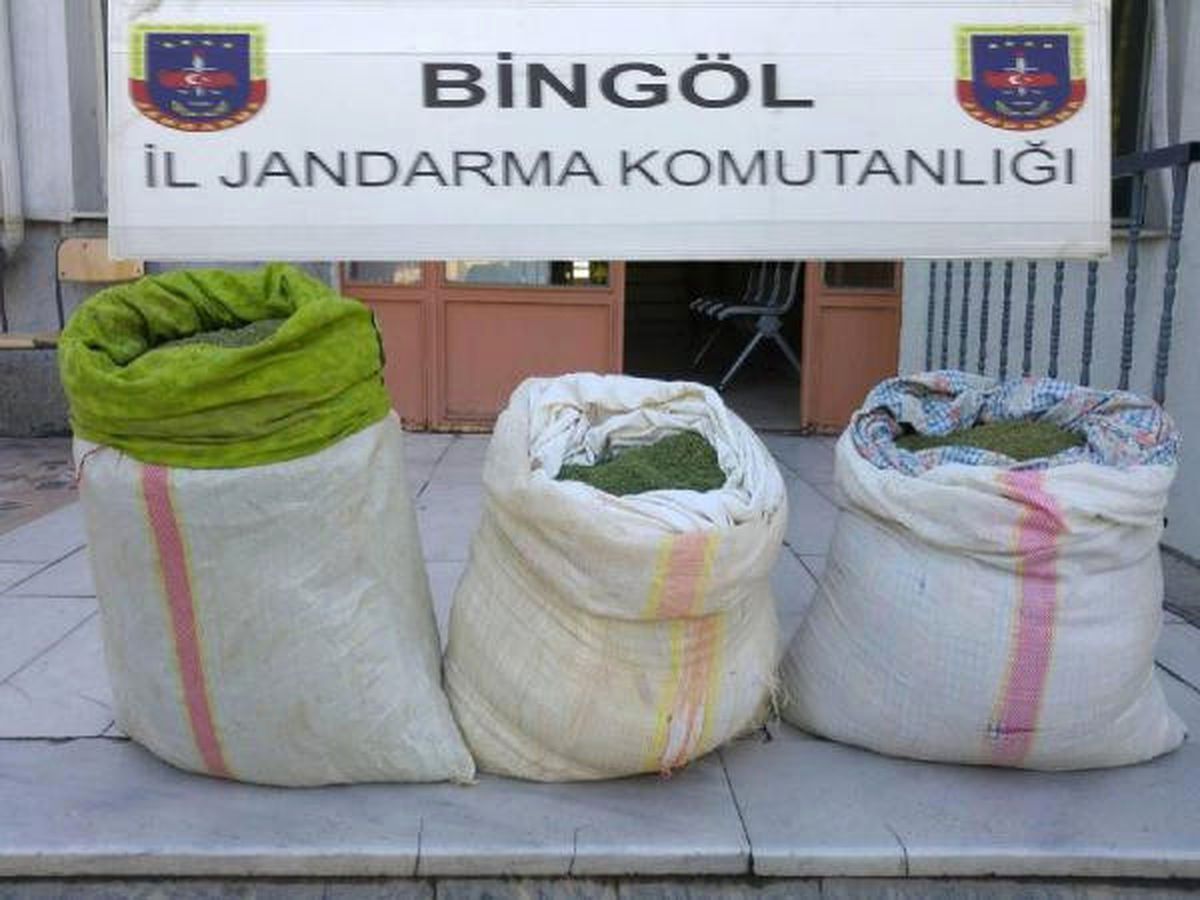 Bingöl\'de 52 Kilo Esrar Ele Geçirildi