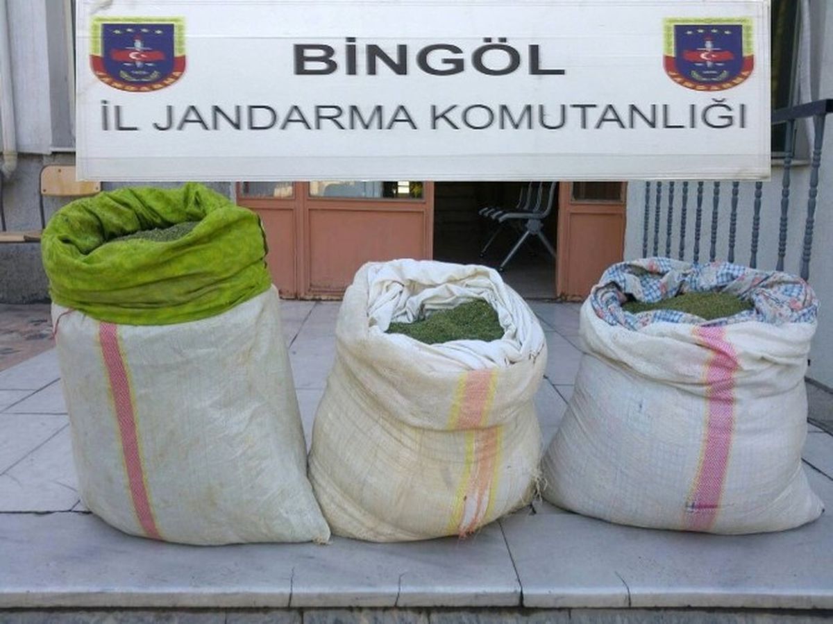 Bingöl\'de 52 Kilogram Esrar Ele Geçirildi
