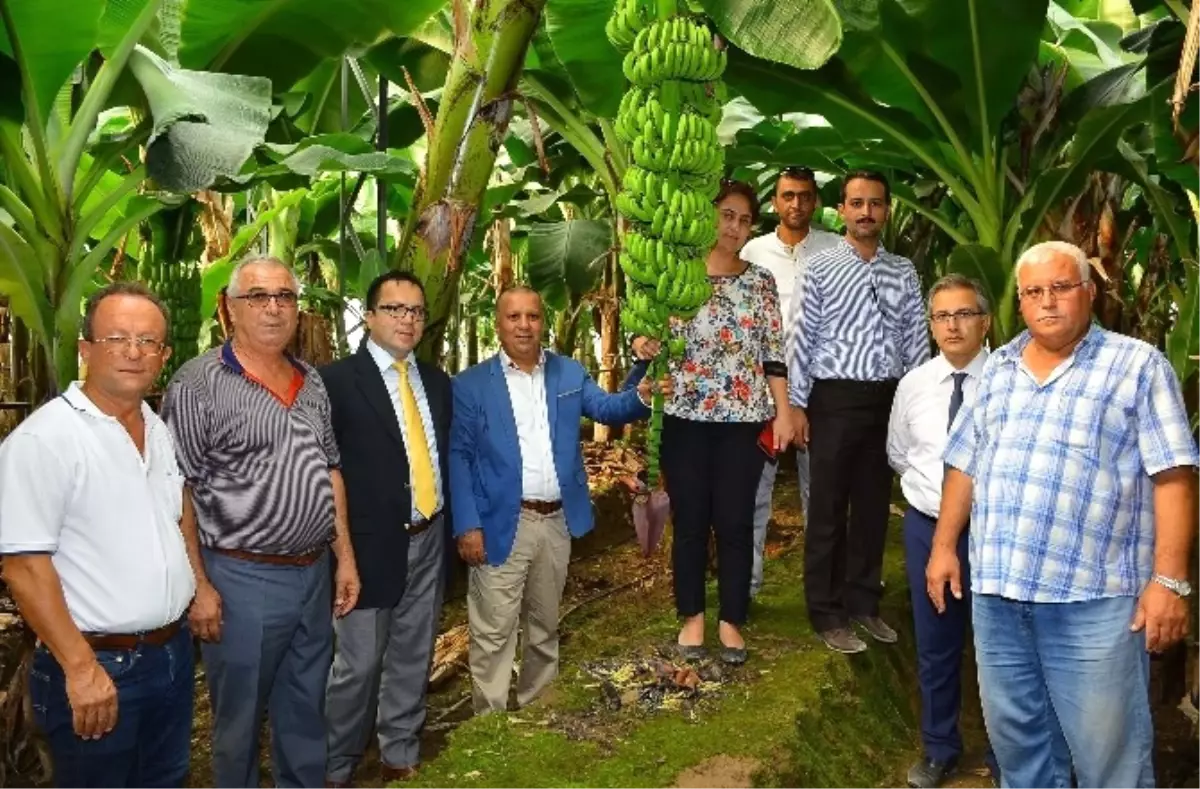 Boztaş: "Manavgat Muza Damgasını Vuracak"